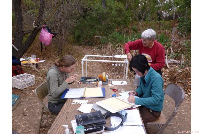 Songbird Migration Timing Shifts Along the Pacific Coast