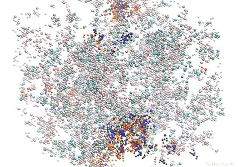 Unveiling the Design Principles of Cellular Compartments