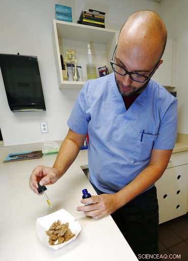 Scientists Urge U.S. to Permit Research on Cannabis-Based Treatments for Pets