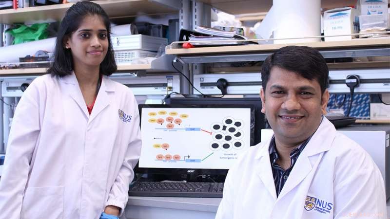 New Discovery Reveals Pathway to Counter Virus-Linked Cancers