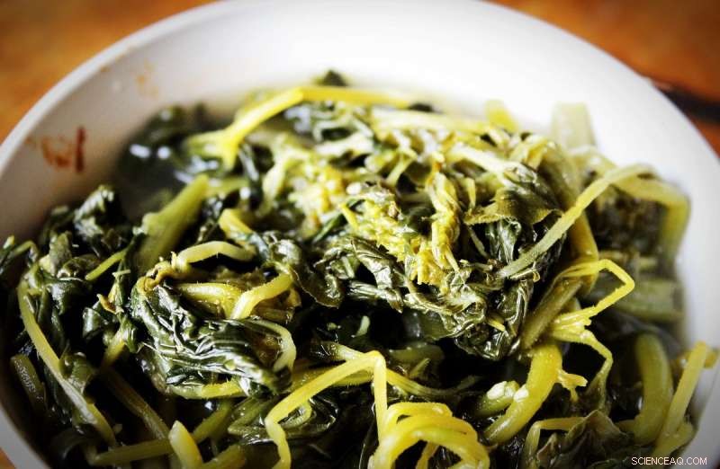 Convincing European Markets to Embrace Algae and Krill as Sustainable Seafood Alternatives