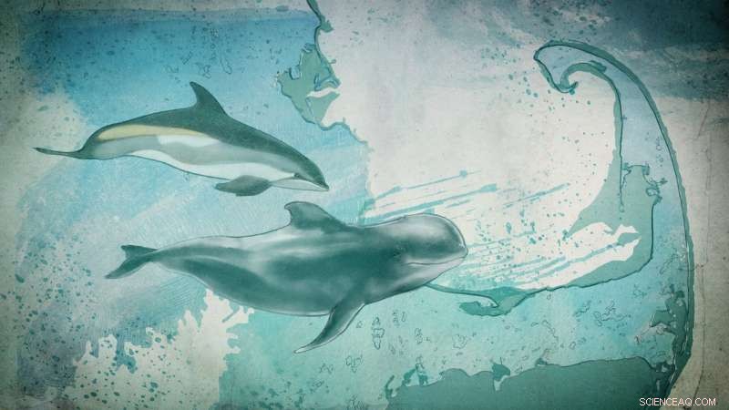 Using NASA Data to Protect Dolphins: Linking Solar Storms to Marine Animal Strandings