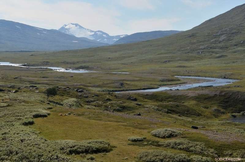 Historic Reindeer Grazing Footprints Endure a Century Later