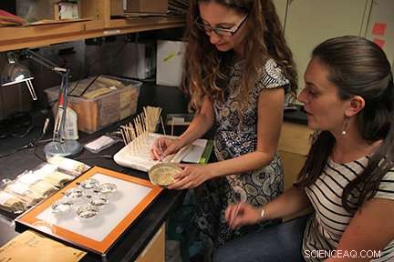 Great Basin Seed Experiment Aims to Restore Rangeland Ecosystems