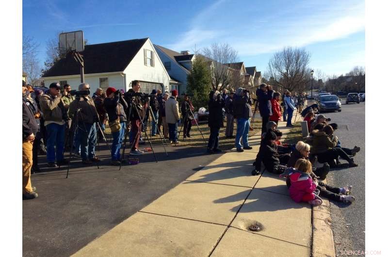 Black‑backed Oriole Visit Generates $223,851 in Rural Pennsylvania Economy