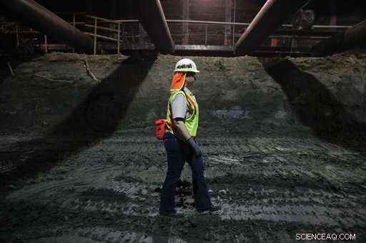 LA Metro Purple Line Construction Uncovers Numerous Ice Age Fossils – Updated Findings