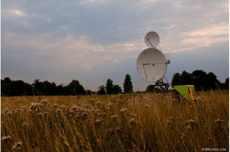 Radar Tracking Reveals How Bees Master Efficient Flower Routes