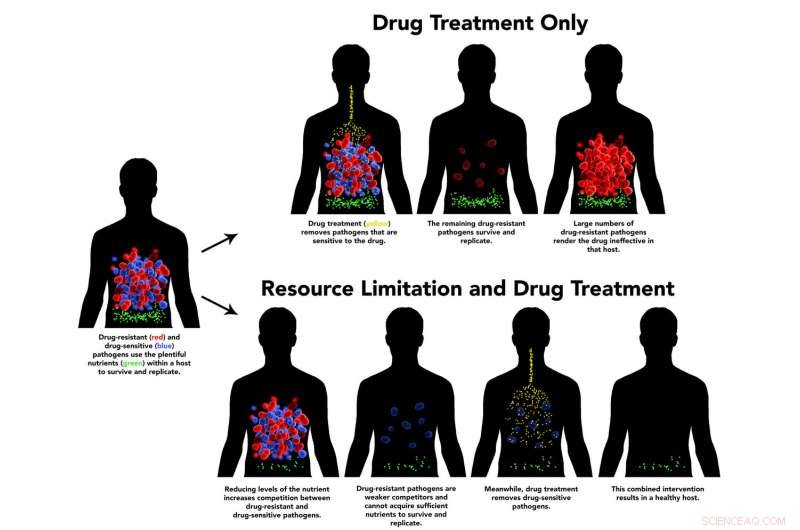 Harnessing Pathogen Competition to Counteract Drug Resistance