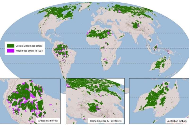 New Global Maps Reveal Vanishing Wilderness—Why It Matters to Us