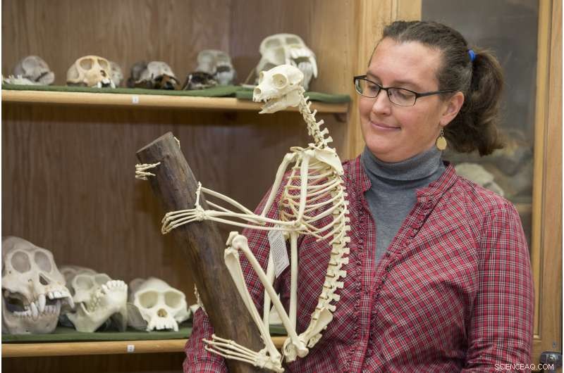 Tracking the Elusive Henst s Goshawk: Using Isotope Analysis to Reveal Its Hunting Range