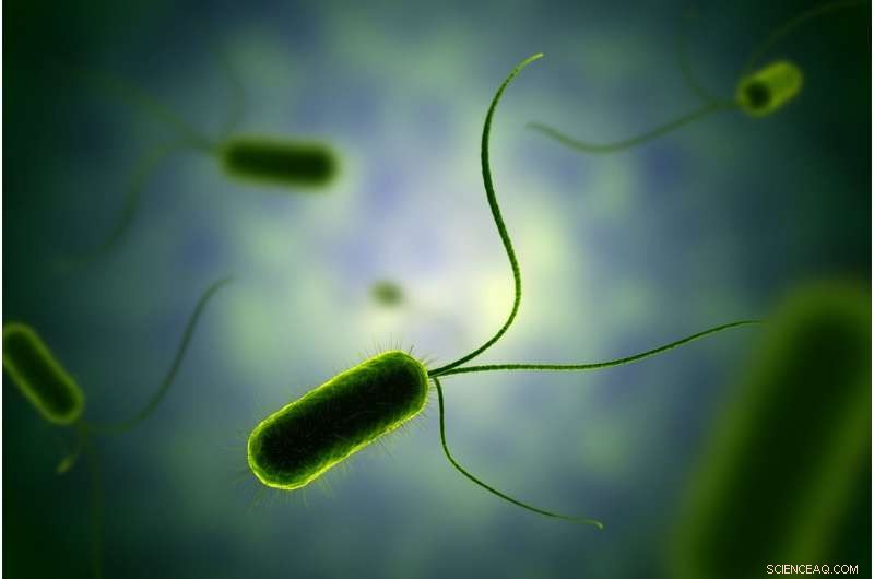 Bacteria Show Personality-Like Behaviors and Mood Swings – AMOLF Microscopy Reveals New Insights