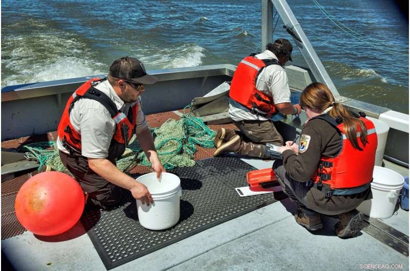 Scientists Urge Advanced Technologies to Protect Endangered California Salmon