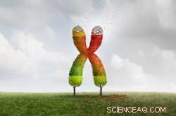 How Biological Age Shapes Stress Responses: New Study Reveals Key Differences