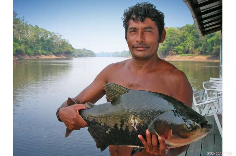 Amazon Deforestation Linked to Declining Fisheries Yields, Study Reveals