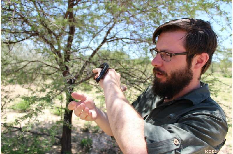 Choosing the Right Habitat Can Boost Survival in the Presence of Predators