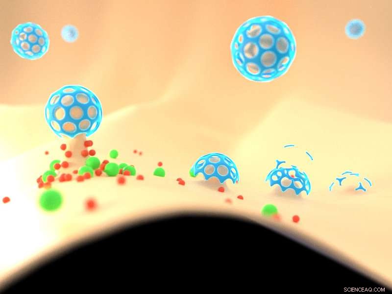How Clathrin Assembly Triggers Cortical Patterning: Timing and Geometry Revealed