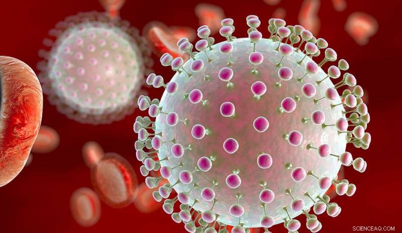 Yale–Stanford Study Finds Small-Molecule Inhibitor Blocks Zika and Dengue Viruses