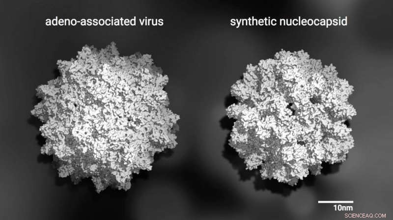 Designer Proteins Could Revolutionize Gene Therapy Delivery
