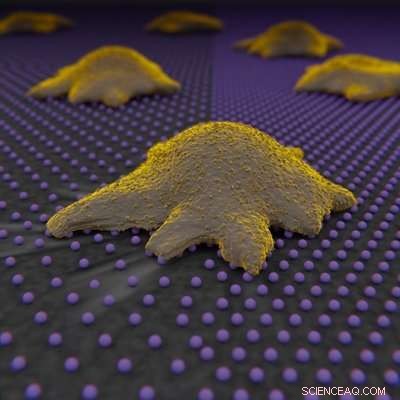 How Cells Detect and Navigate Their Surroundings