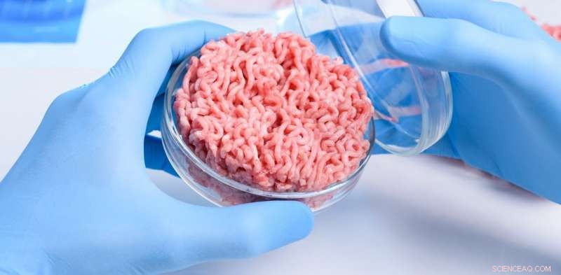 Lab‑grown meat: the ethical answer to factory farming