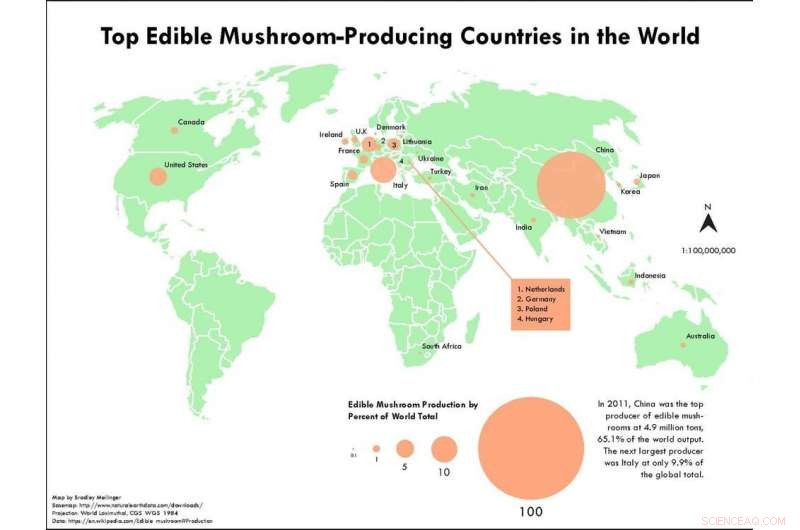 Exploring the Rich Diversity and Emerging Threats to Mushrooms and Fungi