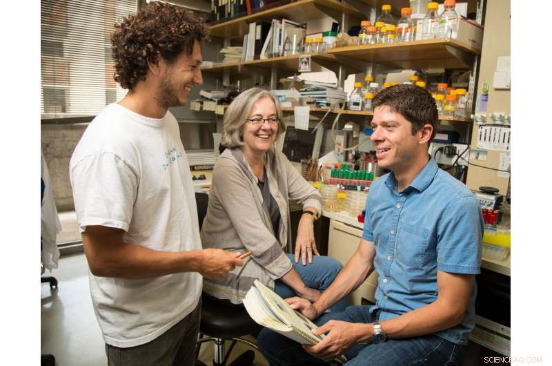 Scientists Reveal Innovative Technique to Uncover Hidden Protein Functions