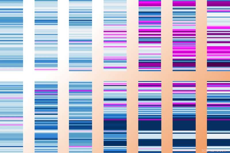 Scientists Decode Complex Genetic Network Governing Sleep Duration