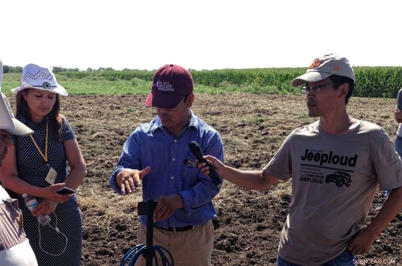 Ground‑Penetrating Radar Detects Fine Crop Roots: A Breakthrough for Farmers