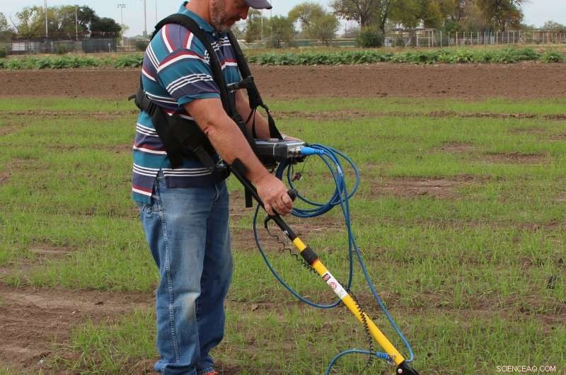 Ground‑Penetrating Radar Detects Fine Crop Roots: A Breakthrough for Farmers