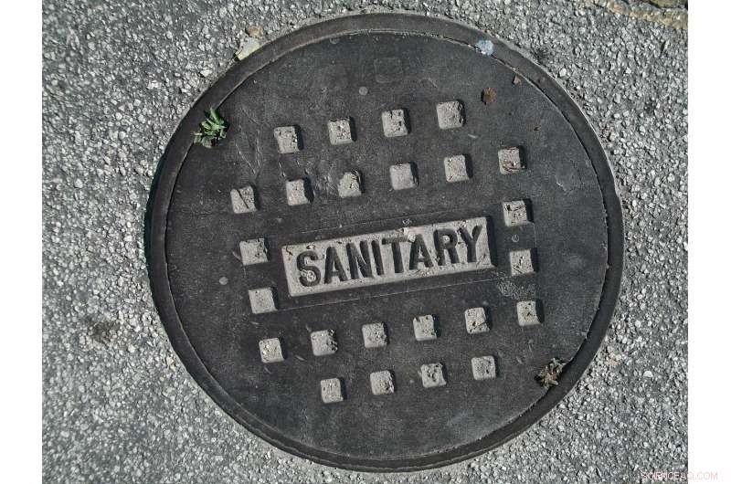 Enzyme‑Powered Filters Remove 95% of Hormone‑Disrupting Chemicals from Sewage