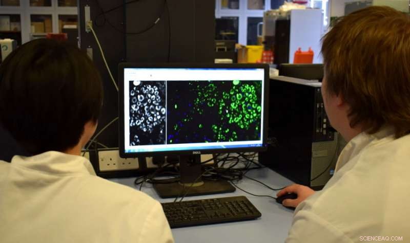 Enzyme‑Powered Filters Remove 95% of Hormone‑Disrupting Chemicals from Sewage