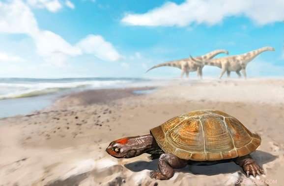 How the First African Tortoise Migrated to Europe 95 Million Years Ago