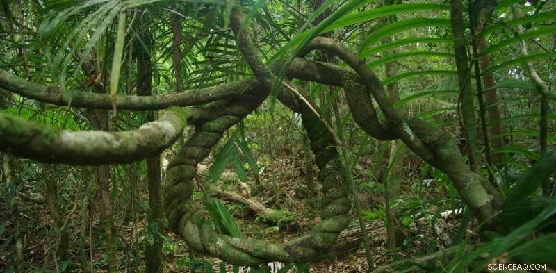 Cutting Environmental Funding Threatens Australia s Biodiversity and Economy