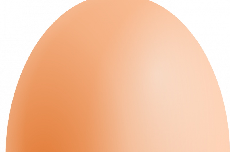 Unpacking Protein Aggregation: From Omelette Preparation to Reversal Techniques