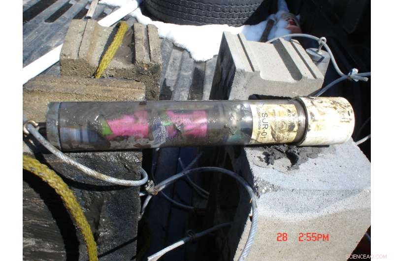 Using Statistical Modeling to Effectively Eliminate Invasive Species in Fisheries Management