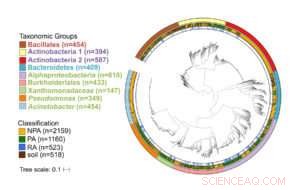 Plant Microbiome Explorer: A Comprehensive Functional Genomics Database