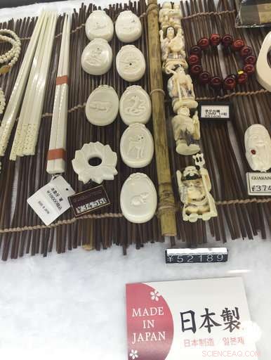 Conservation Group Accuses Japan of Facilitating Illegal Ivory Trade – Updated Findings