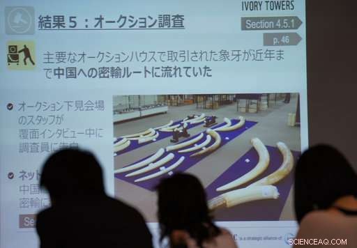 Conservation Group Accuses Japan of Facilitating Illegal Ivory Trade – Updated Findings