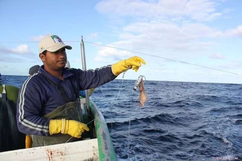 Innovative Hookpod Device Protects Seabirds from Harmful Fishing Gear