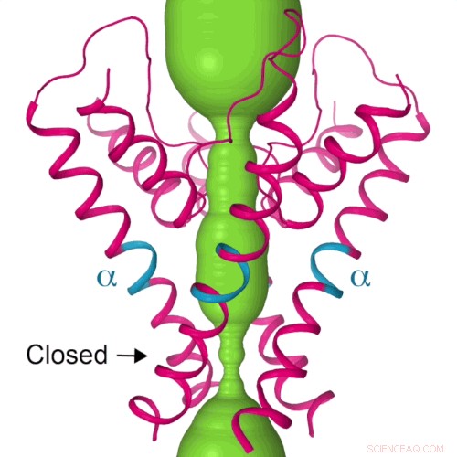 Electron Microscopy Unveils Cellular Calcium Uptake Mechanism