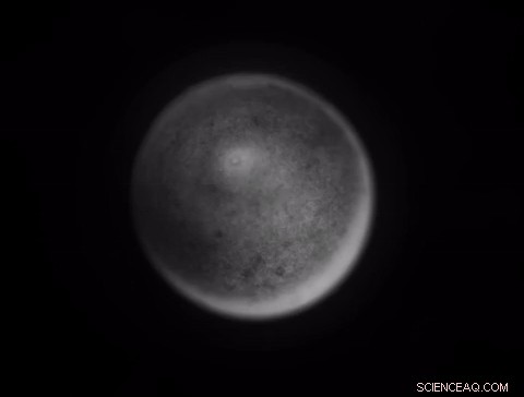 Study Reveals Fertilization Triggers Thousands of Protein Changes in Frog Eggs