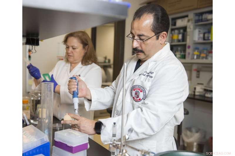 New Research Unlocks Cellular Gateways to Enhance Drug Targeting