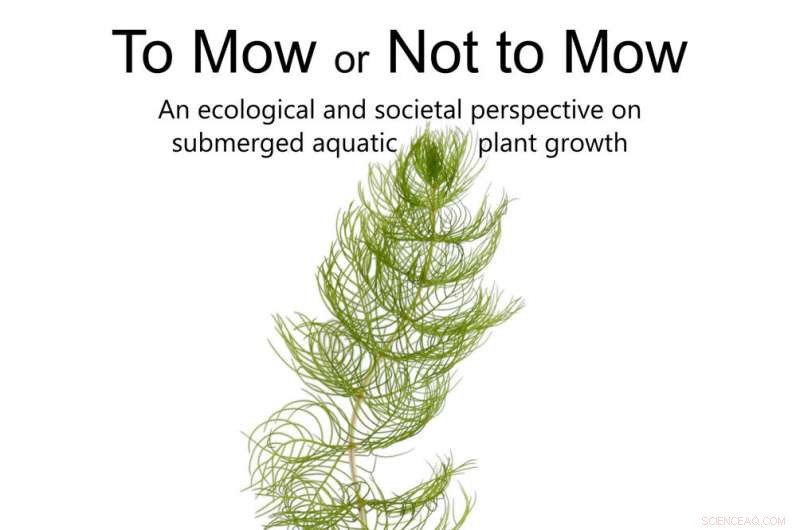 Root-Level Solutions to Control Water Plant Overgrowth