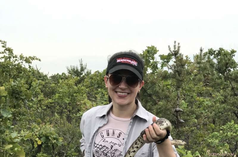 Groundbreaking Discovery: A Hidden Snake Species Unveiled in New Jersey