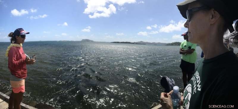 Climate Change Threatens Hawaiian Fishpond Aquaculture: New Research Findings