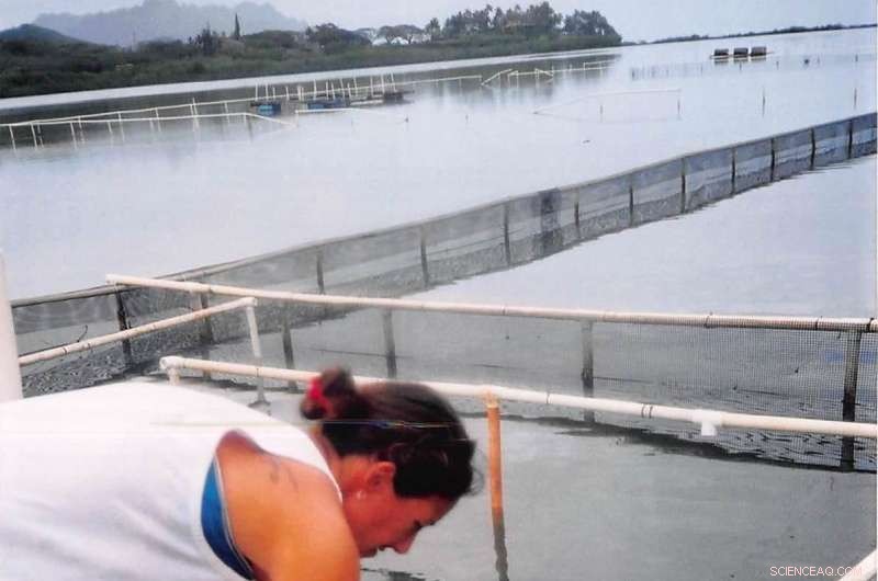 Climate Change Threatens Hawaiian Fishpond Aquaculture: New Research Findings