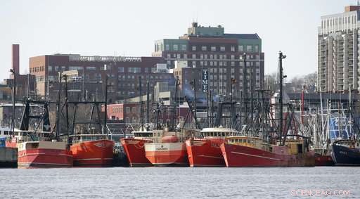 US Fishermen Express Concerns Over Offshore Wind Turbine Development