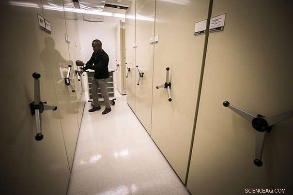 New Research Reveals Global Herbarium Sampling Biases, Questioning Climate Change Assessments