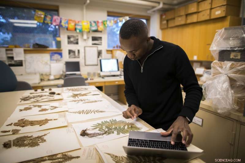New Research Reveals Global Herbarium Sampling Biases, Questioning Climate Change Assessments