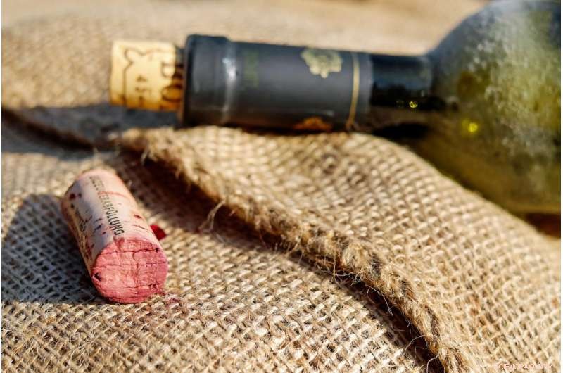 How Climate Change Shapes the Future of Wine